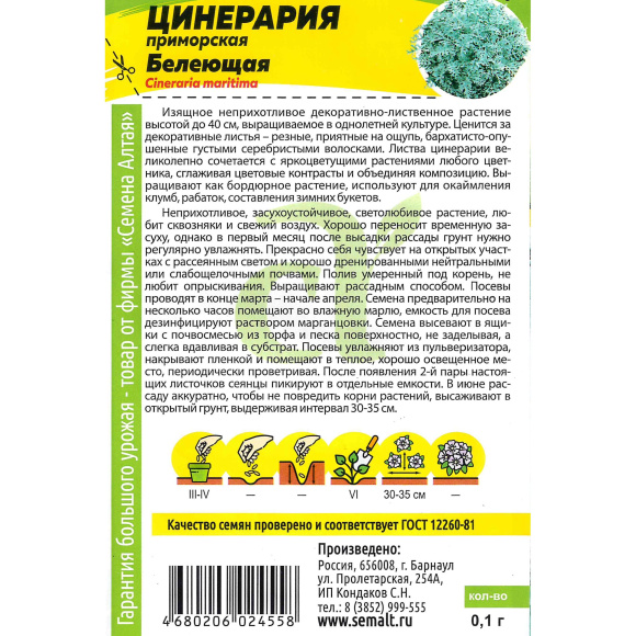Цинерария Белеющая [Семена алтая] купить с доставкой