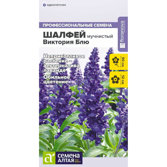 Шалфей Виктория Блю мучнистый [Семена алтая] купить с доставкой