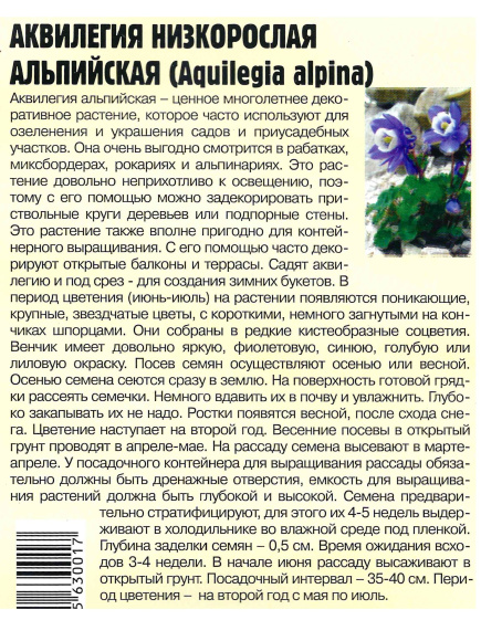 Аквилегия Альпийская Большая клумба [Семена редких растений] купить с доставкой