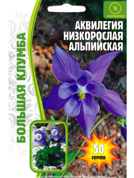 Аквилегия Альпийская Большая клумба [Семена редких растений] купить с доставкой