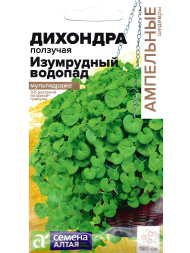 Дихондра Изумрудный Водопад [Семена алтая]