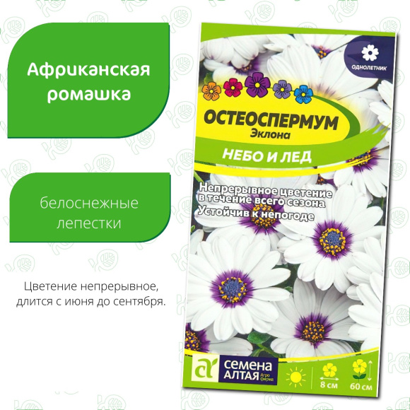 Остеоспермум Небо и Лед [Семена алтая] купить с доставкой