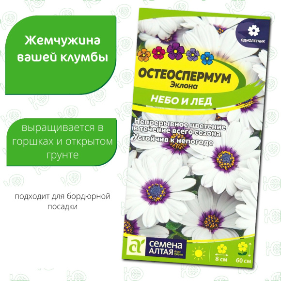 Остеоспермум Небо и Лед [Семена алтая] купить с доставкой