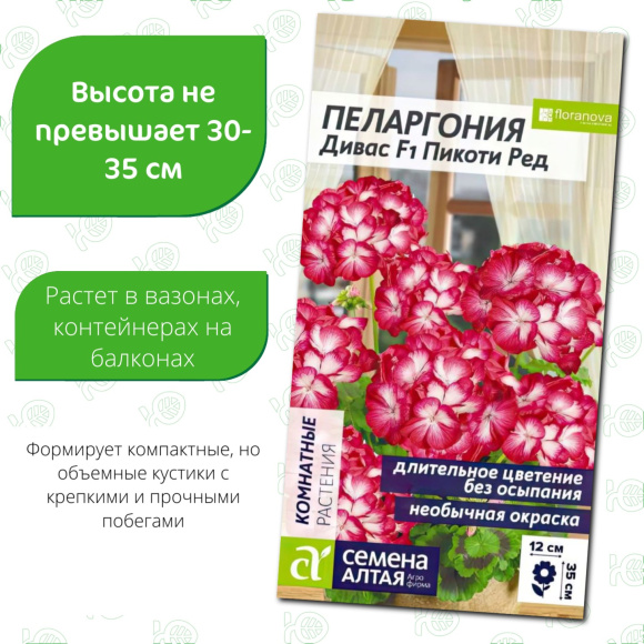 Пеларгония Дивас Пикоти Ред [Семена алтая] купить с доставкой