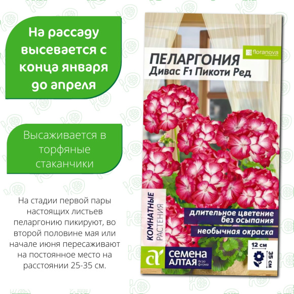 Пеларгония Дивас Пикоти Ред [Семена алтая] купить с доставкой