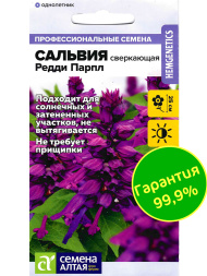 Сальвия Редди Парпл сверкающая [Семена алтая]