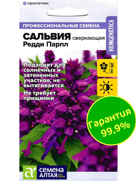 Сальвия Редди Парпл сверкающая [Семена алтая] купить с доставкой