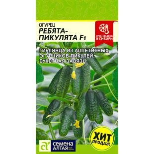 Огурец Ребята-Пикулята [Семена алтая]