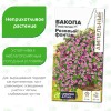 Бакопа Пинктопия Розовый фонтан [Семена алтая]