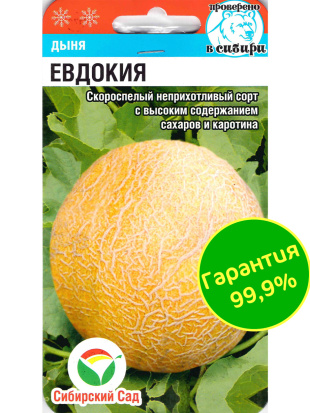 Дыня Евдокия [Сибирский сад]