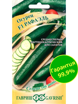 Огурец Рафаэль салатный [Гавриш]