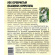 Лох Серебристый Elaeagnus commutata [Семена редких растений] купить с доставкой