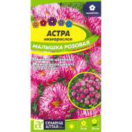 Астра Малышка Розовая [Семена алтая]