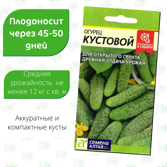 Огурец Кустовой [Семена алтая] купить с доставкой