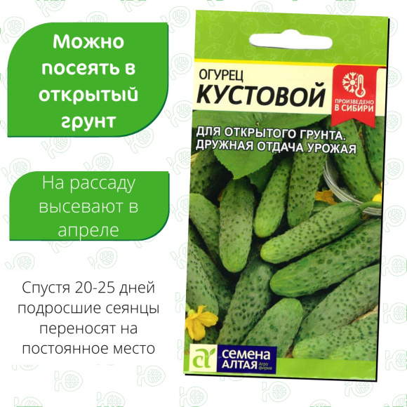 Огурец Кустовой [Семена алтая] купить с доставкой