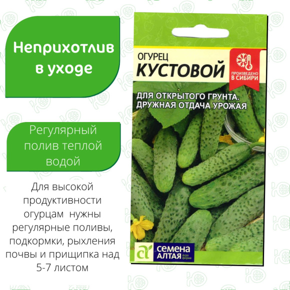 Огурец Кустовой [Семена алтая] купить с доставкой
