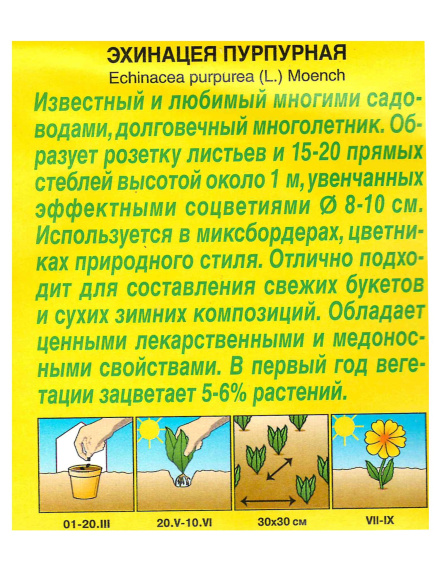 Эхинацея Пурпурная 0,2г [Аэлита] купить с доставкой