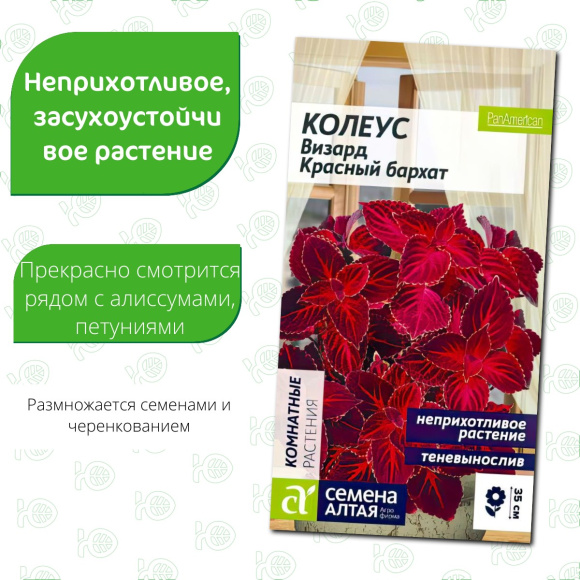 Колеус Визард Красный бархат [Семена алтая] купить с доставкой