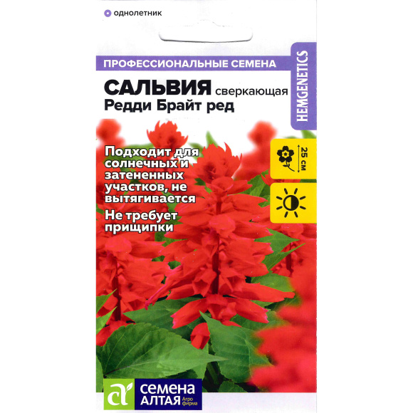 Сальвия Редди Брайт ред сверкающая [Семена алтая] купить с доставкой
