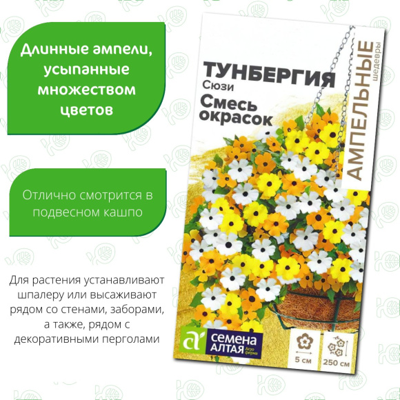 Тунбергия Сюзи Смесь окрасок [Семена алтая] купить с доставкой