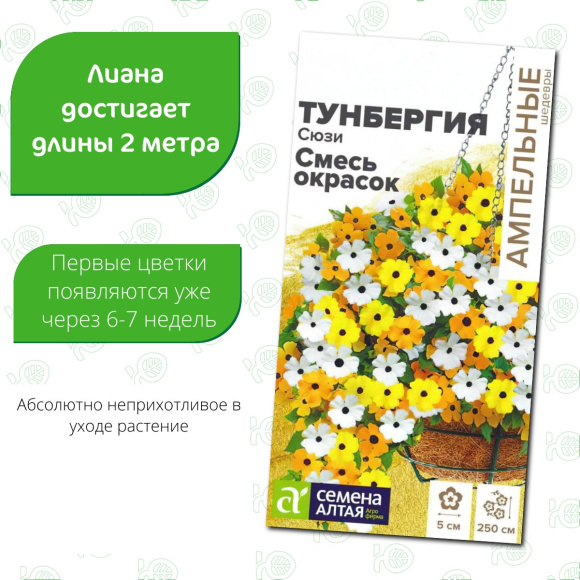 Тунбергия Сюзи Смесь окрасок [Семена алтая] купить с доставкой
