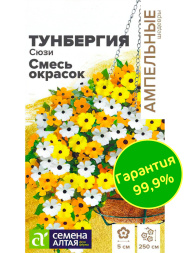 Тунбергия Сюзи Смесь окрасок [Семена алтая]