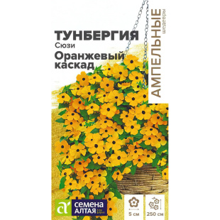 Тунбергия Сюзи Оранжевый каскад [Семена алтая]