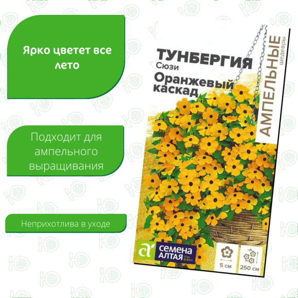 Тунбергия Сюзи Оранжевый каскад [Семена алтая] купить с доставкой