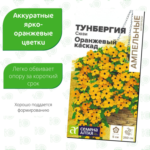 Тунбергия Сюзи Оранжевый каскад [Семена алтая] купить с доставкой