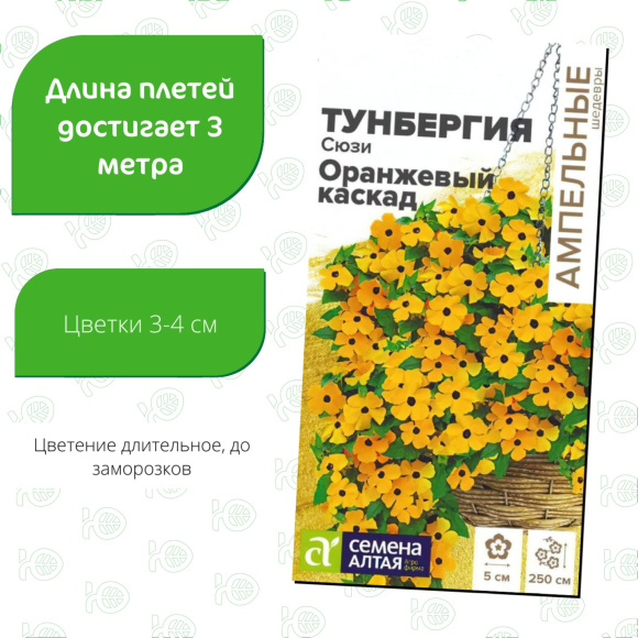 Тунбергия Сюзи Оранжевый каскад [Семена алтая] купить с доставкой