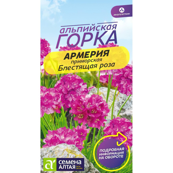 Армерия Блестящая роза приморская [Семена алтая] купить с доставкой