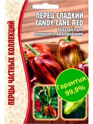 Перец Candy Cane Red [Семена редких растений]