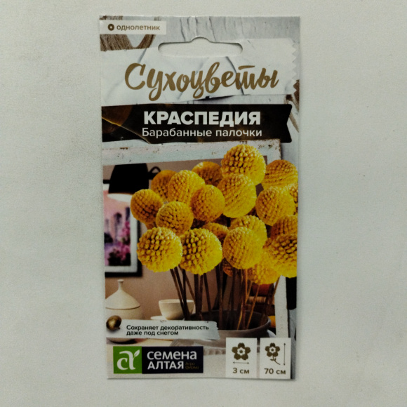 Краспедия Барабанные палочки [Семена алтая] купить с доставкой