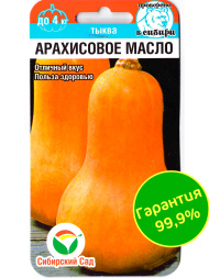 Тыква Арахисовое масло [Сибирский сад]