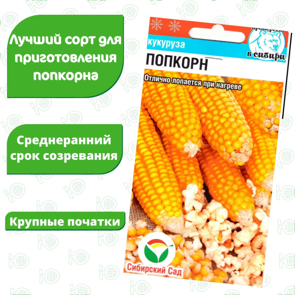Кукуруза Попкорн [Сибирский сад] купить с доставкой