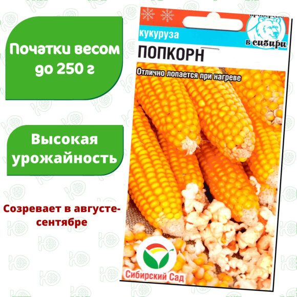 Кукуруза Попкорн [Сибирский сад] купить с доставкой