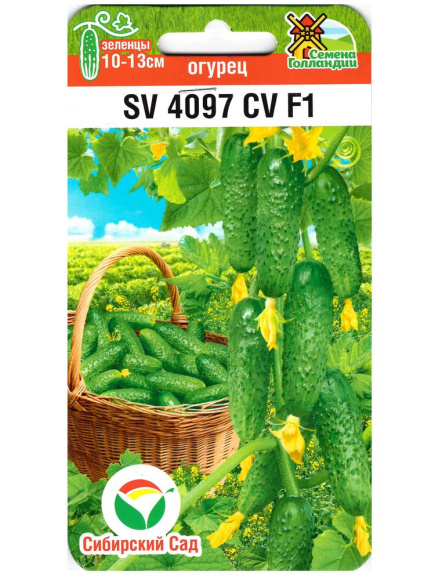 Огурец SV4097CV [Сибирский сад] купить с доставкой