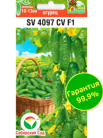 Огурец SV4097CV + подарок [Сибирский сад] купить с доставкой