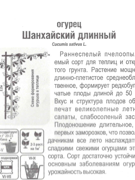 Огурец Шанхайский длинный [Сибирский сад] купить с доставкой