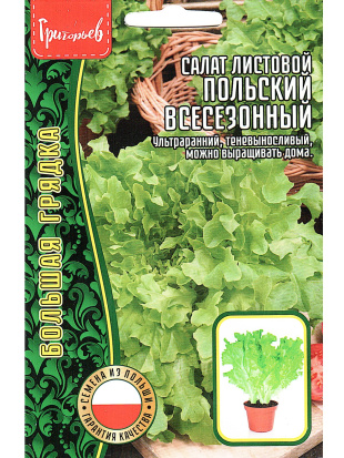 Салат Польский Всесезонный листовой [Семена редких растений]