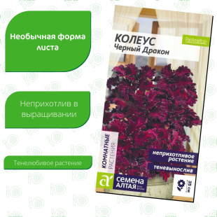 Колеус Черный Дракон [Семена алтая]