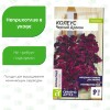 Колеус Черный Дракон [Семена алтая]
