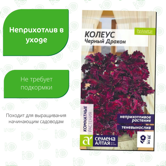 Колеус Черный Дракон [Семена алтая] купить с доставкой