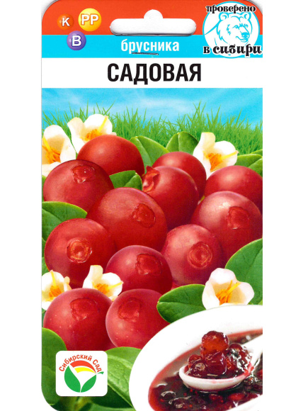 Брусника Садовая [Сиб сад] купить с доставкой