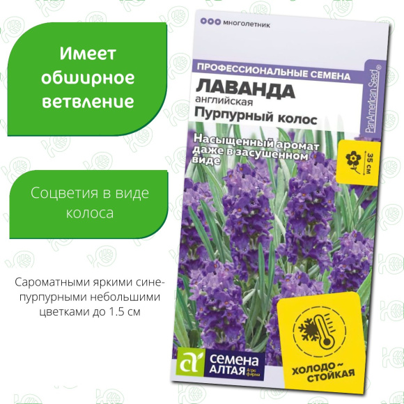 Лаванда Пурпурный колос английская [Семена алтая] купить с доставкой