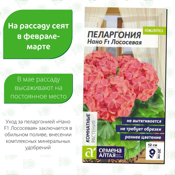 Пеларгония Нано Лососевая [Семена алтая] купить с доставкой