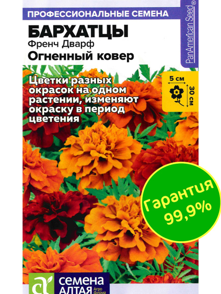 Бархатцы Френч Дварф Огненный ковер [Семена алтая] купить с доставкой