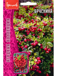 Брусника 0,05г.[Семена редких растений]