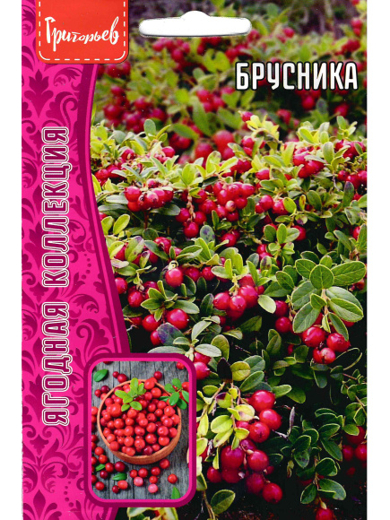 Брусника 0,05г.[Семена редких растений] купить с доставкой