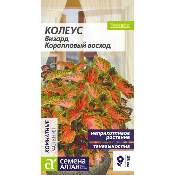 Колеус Визард Коралловый Восход [Семена алтая] с доставкой